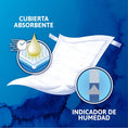 Cargar la imagen en la vista de la galería, Protector de Cama Tena con Aloe Vera (Nivel 6) - Juby Care